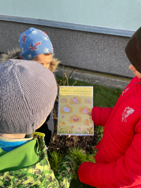 hledání velikonočního zajíčka 